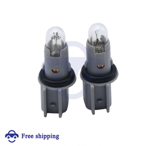 License plate lightbulb socket - license,